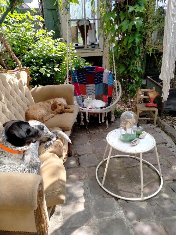 Bed and Breakfast Mimi la Sardine Saint-Gervais en-Belin Esterno foto